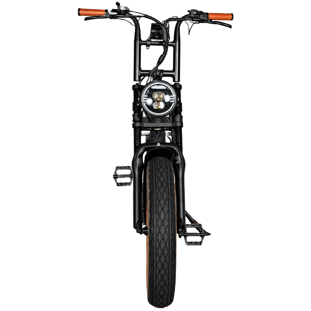 EB2™ Fatbike | 2024 | Zilver | Voetsteunen | Alarm | Telefoontas | Slot