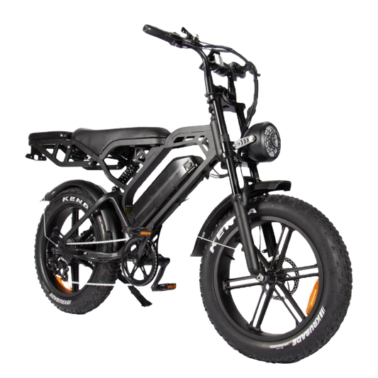 V20 Pro Plus Fatbike | 2025 | Zwart | Achterzitje | Telefoontas | Voetsteunen