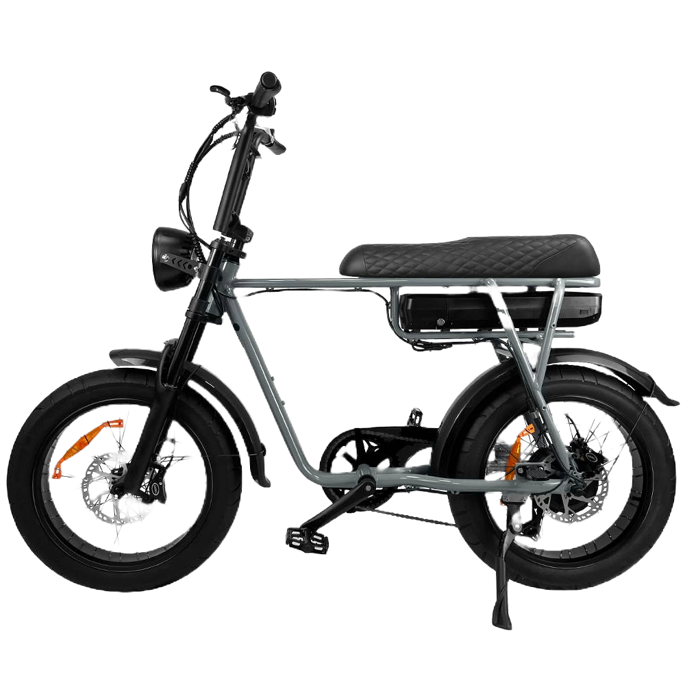 EB2™ Fatbike | 2024 | Retro | Voetsteunen | Alarm | Telefoontas | Slot